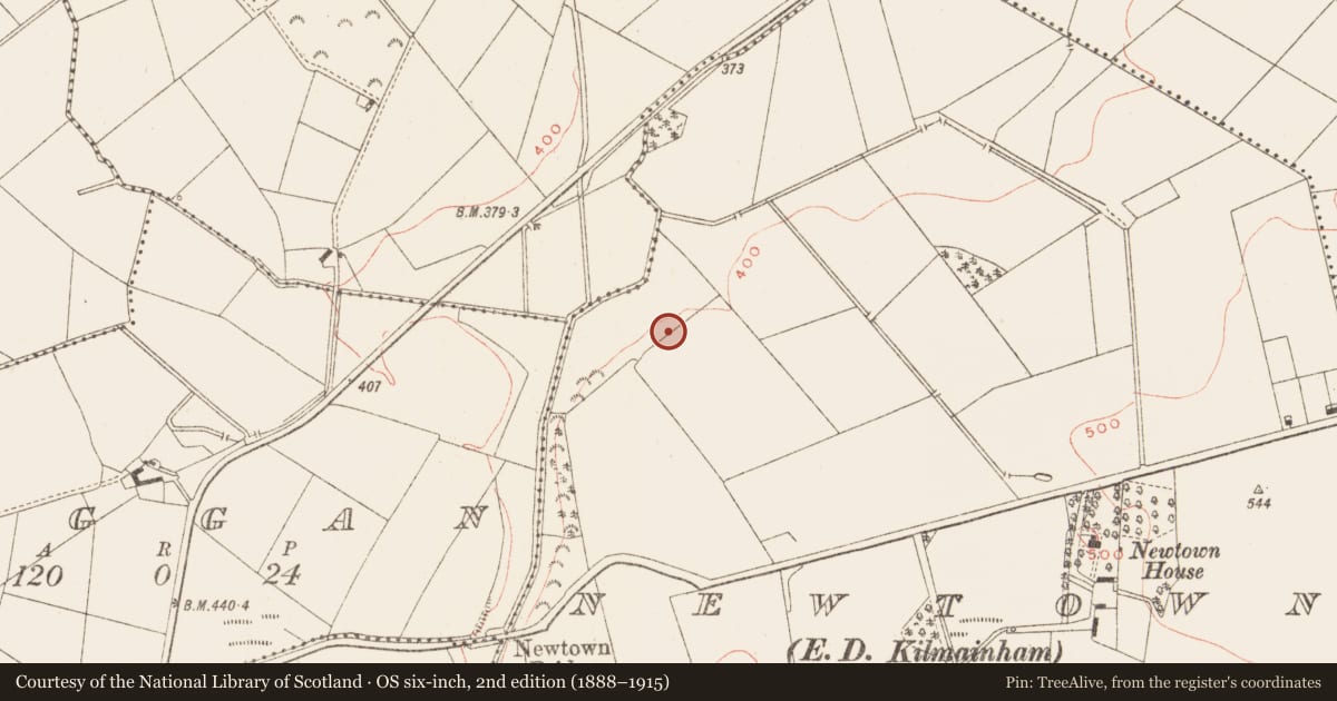 Ordnance Survey six-inch map, 2nd edition (1888–1915) covering the location of House - Neolithic, Newtown, County Meath, with a pin at the register's coordinates