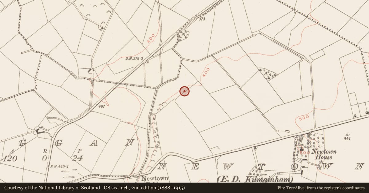 Ordnance Survey six-inch map, 2nd edition (1888–1915) covering the location of Pit-burial, Newtown, County Meath, with a pin at the register's coordinates