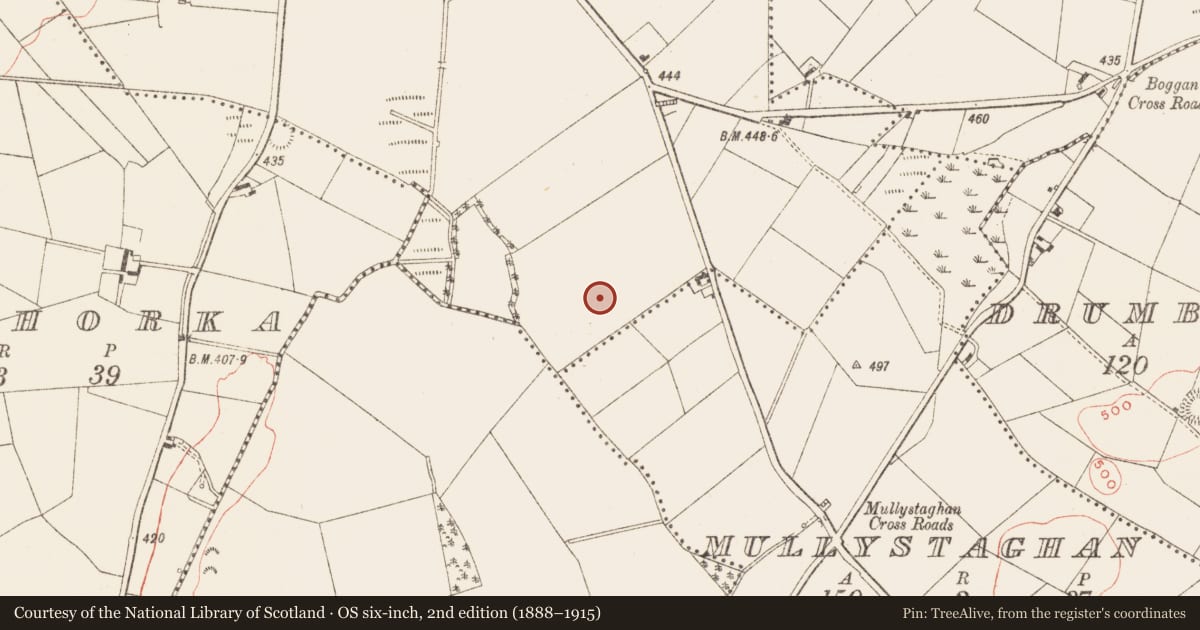 Ordnance Survey six-inch map, 2nd edition (1888–1915) covering the location of Ringfort - rath, Cormeen (Kells Lower By., Moybologue Par.), County Meath, with a pin at the register's coordinates
