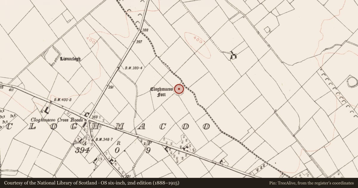 Ordnance Survey six-inch map, 2nd edition (1888–1915) covering the location of Ringfort - rath, Cloghmacoo, County Meath, with a pin at the register's coordinates