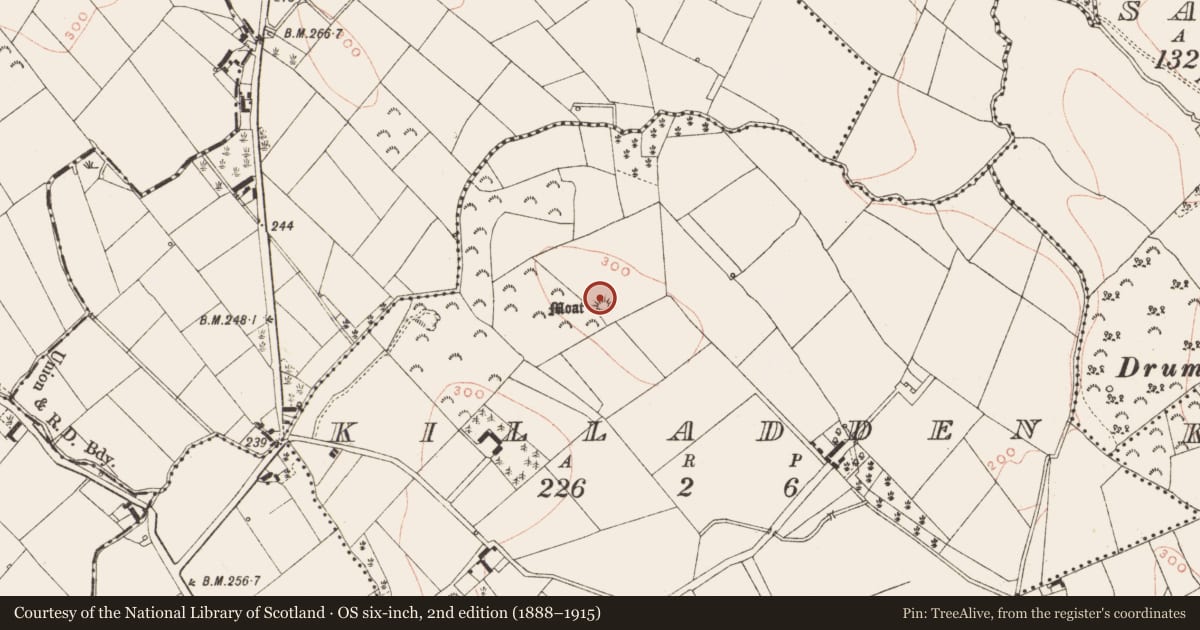 Ordnance Survey six-inch map, 2nd edition (1888–1915) covering the location of Castle - motte and bailey, Killadden, County Meath, with a pin at the register's coordinates
