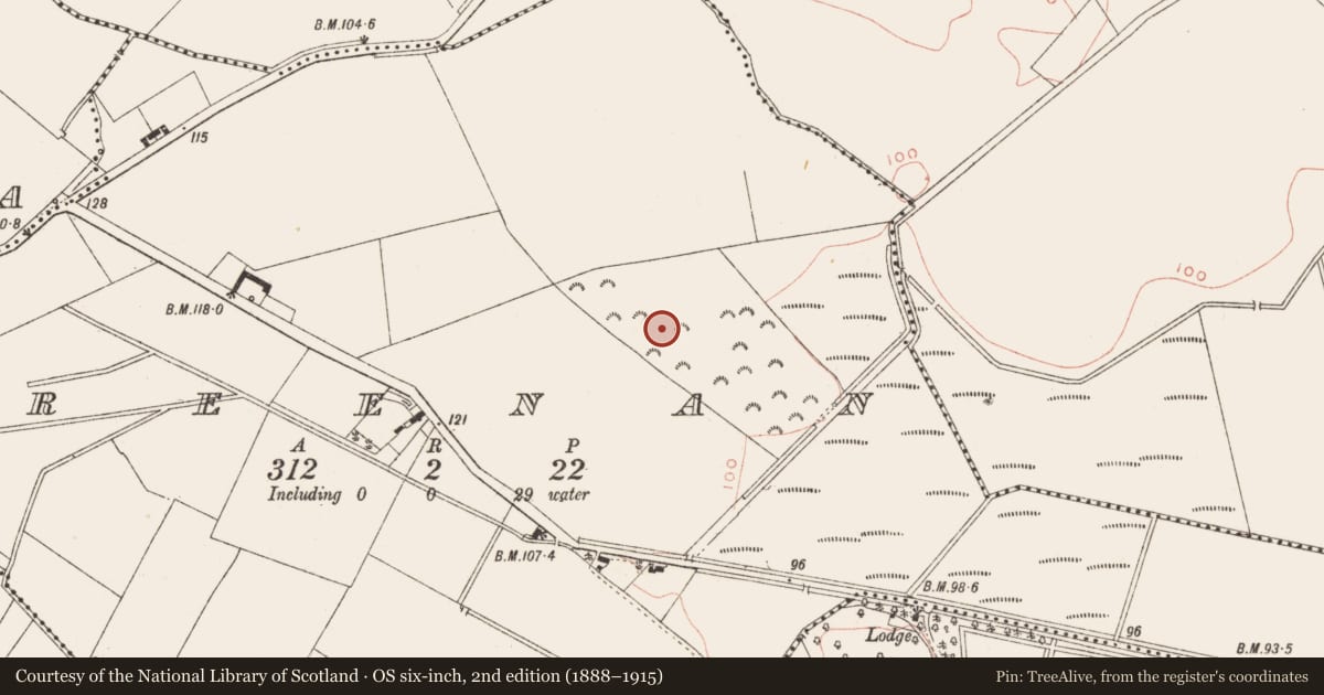 Ordnance Survey six-inch map, 2nd edition (1888–1915) covering the location of Standing stone, Greenan, County Meath, with a pin at the register's coordinates