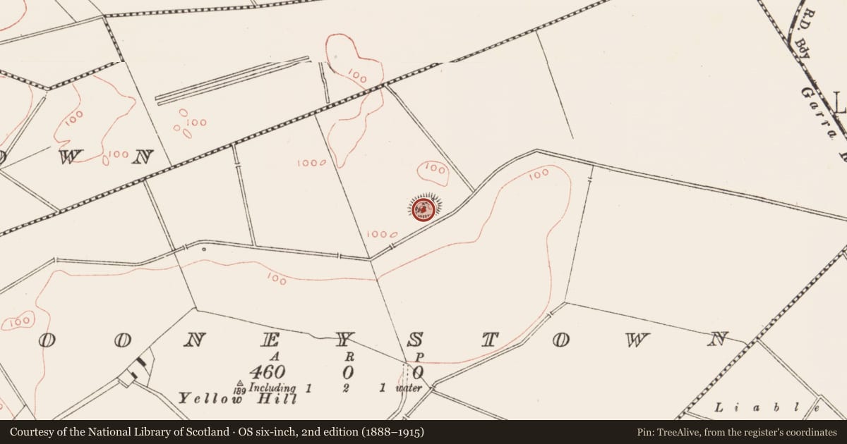 Ordnance Survey six-inch map, 2nd edition (1888–1915) covering the location of Ringfort - rath, Mooneystown, County Meath, with a pin at the register's coordinates