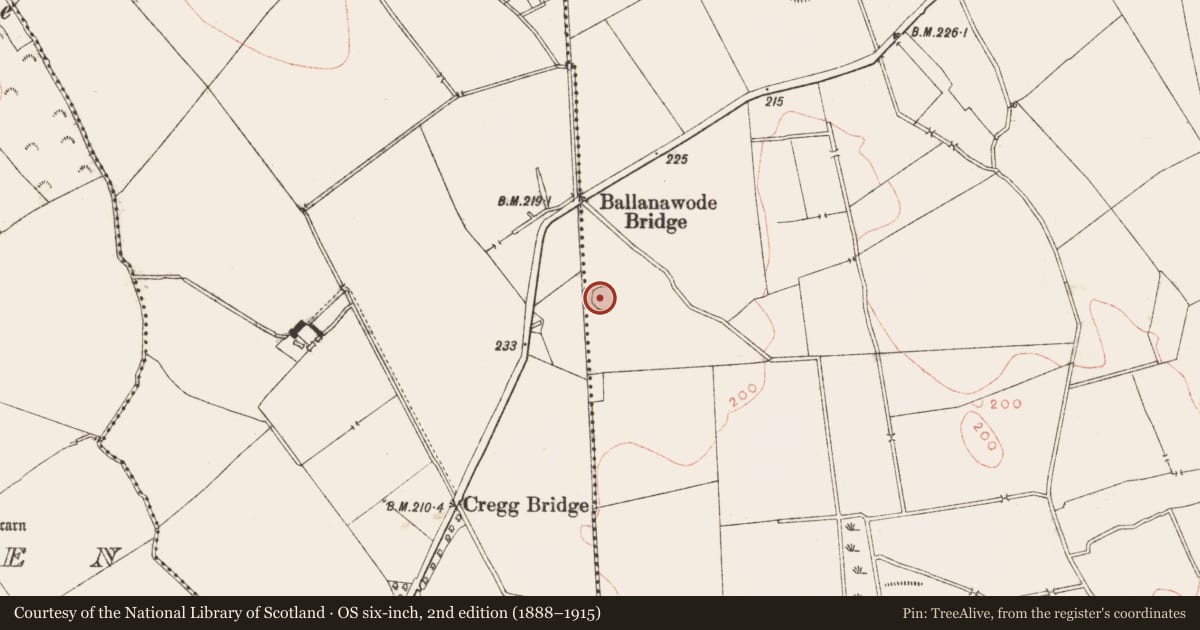 Ordnance Survey six-inch map, 2nd edition (1888–1915) covering the location of Ringfort - rath, Posseckstown, County Meath, with a pin at the register's coordinates