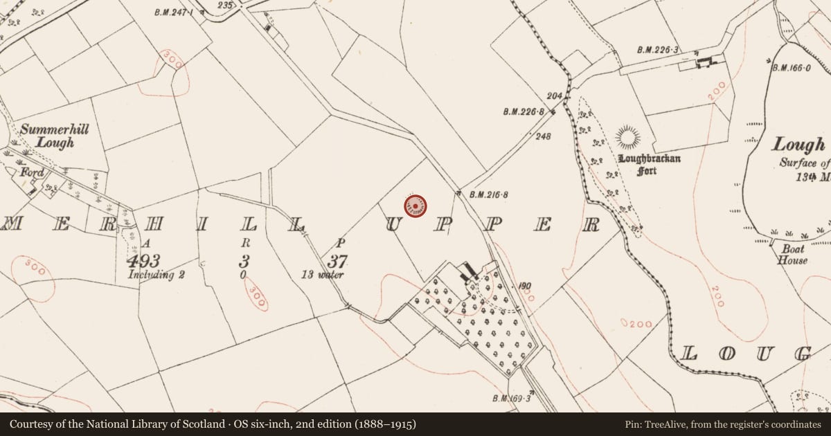 Ordnance Survey six-inch map, 2nd edition (1888–1915) covering the location of Castle - motte, Summerhill Upper, County Meath, with a pin at the register's coordinates
