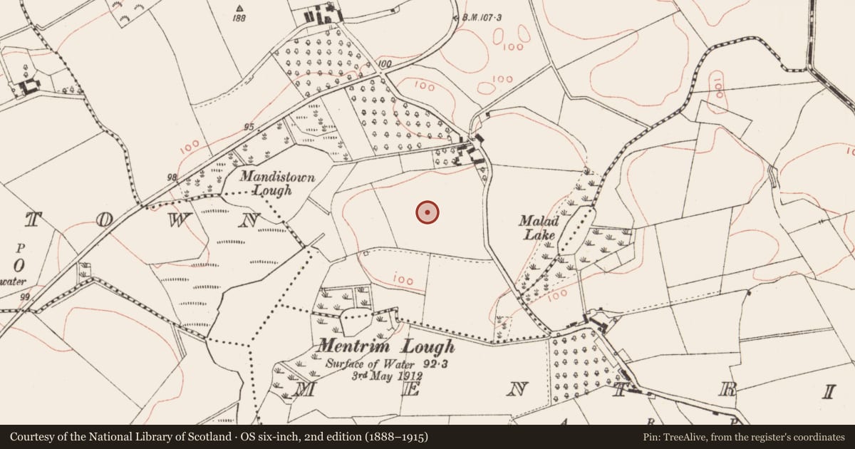 Ordnance Survey six-inch map, 2nd edition (1888–1915) covering the location of Enclosure, Mandistown, County Meath, with a pin at the register's coordinates