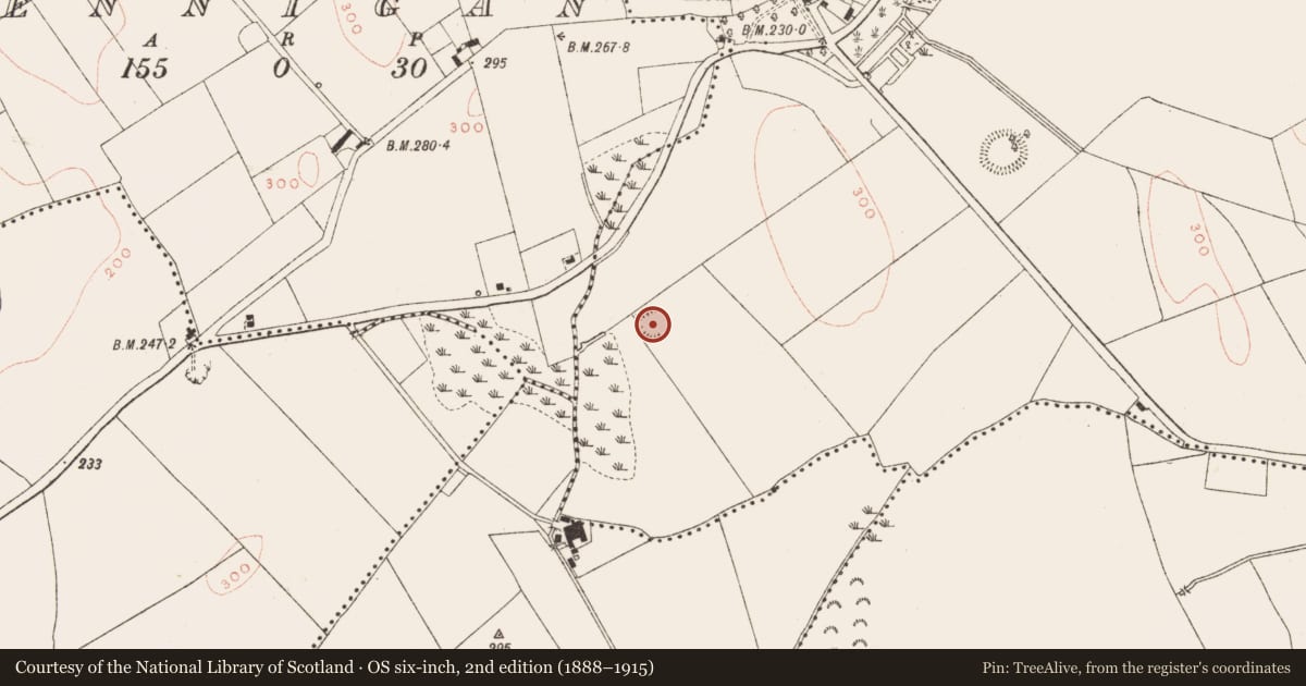 Ordnance Survey six-inch map, 2nd edition (1888–1915) covering the location of Ringfort - rath, Posseckstown, County Meath, with a pin at the register's coordinates