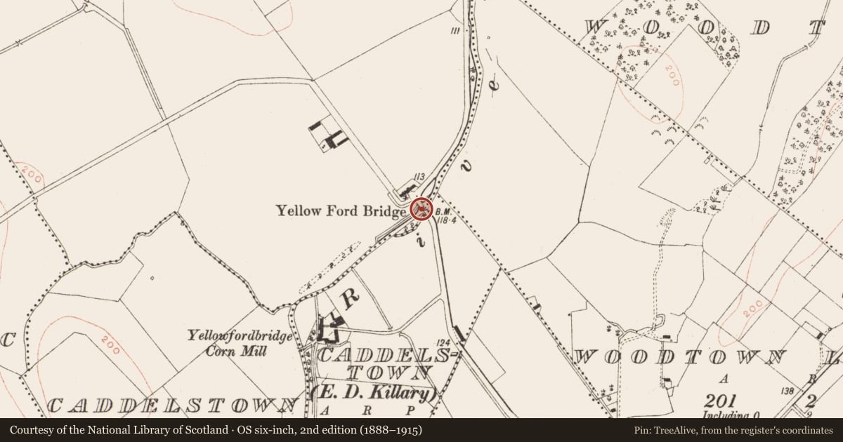 Ordnance Survey six-inch map, 2nd edition (1888–1915) covering the location of Bridge, County Meath, with a pin at the register's coordinates