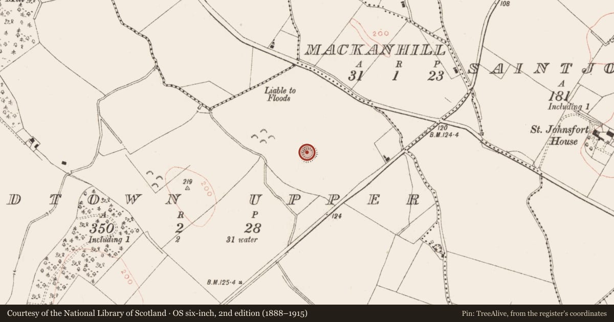 Ordnance Survey six-inch map, 2nd edition (1888–1915) covering the location of Ringfort - rath, Woodtown Upper, County Meath, with a pin at the register's coordinates