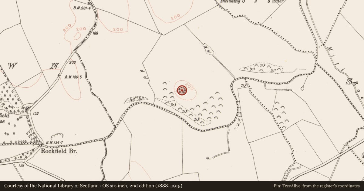 Ordnance Survey six-inch map, 2nd edition (1888–1915) covering the location of Ringfort - rath, Balsitric, County Meath, with a pin at the register's coordinates