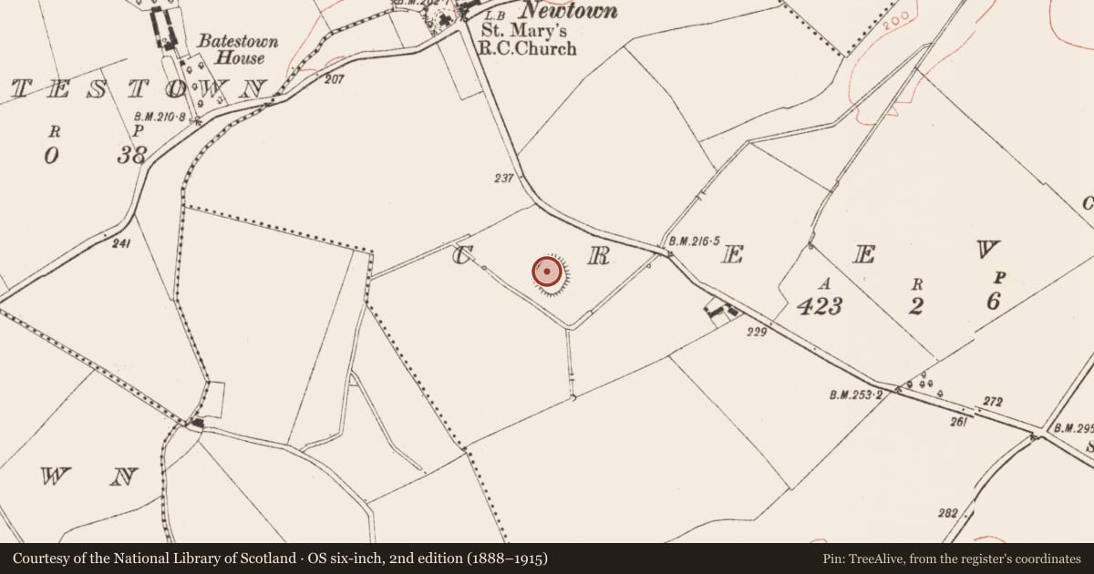 Ordnance Survey six-inch map, 2nd edition (1888–1915) covering the location of Ringfort - rath, Creevagh, County Meath, with a pin at the register's coordinates