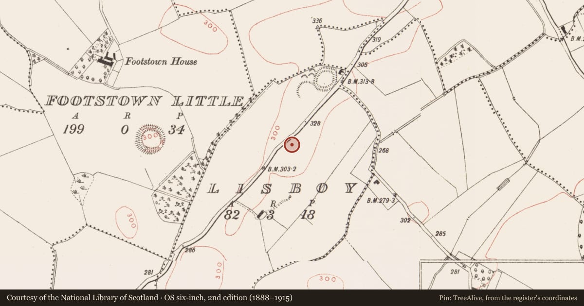 Ordnance Survey six-inch map, 2nd edition (1888–1915) covering the location of Moated site, Lisboy, County Meath, with a pin at the register's coordinates