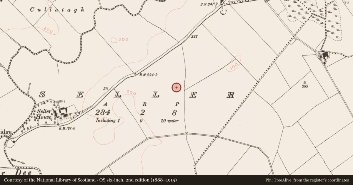 Ordnance Survey six-inch map, 2nd edition (1888–1915) covering the location of Ringfort - rath, Seller, County Meath, with a pin at the register's coordinates