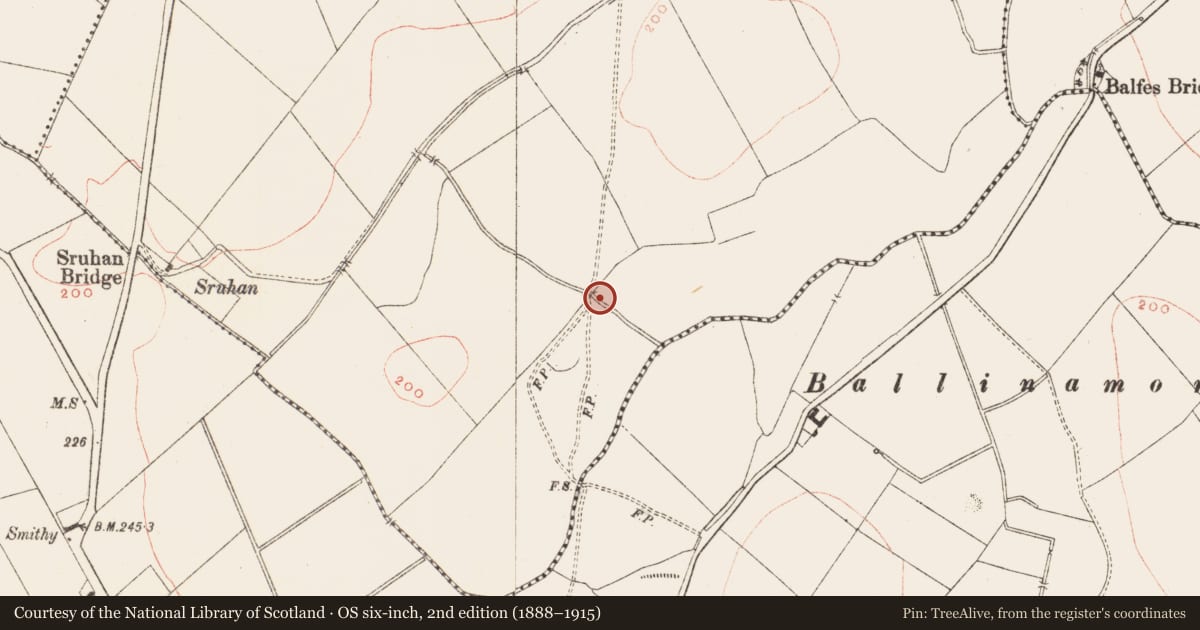 Ordnance Survey six-inch map, 2nd edition (1888–1915) covering the location of Water mill - horizontal-wheeled, Rathgillen, County Meath, with a pin at the register's coordinates