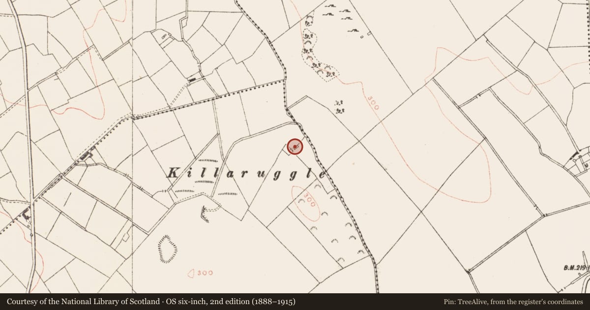 Ordnance Survey six-inch map, 2nd edition (1888–1915) covering the location of Church, Rathgillen, County Meath, with a pin at the register's coordinates