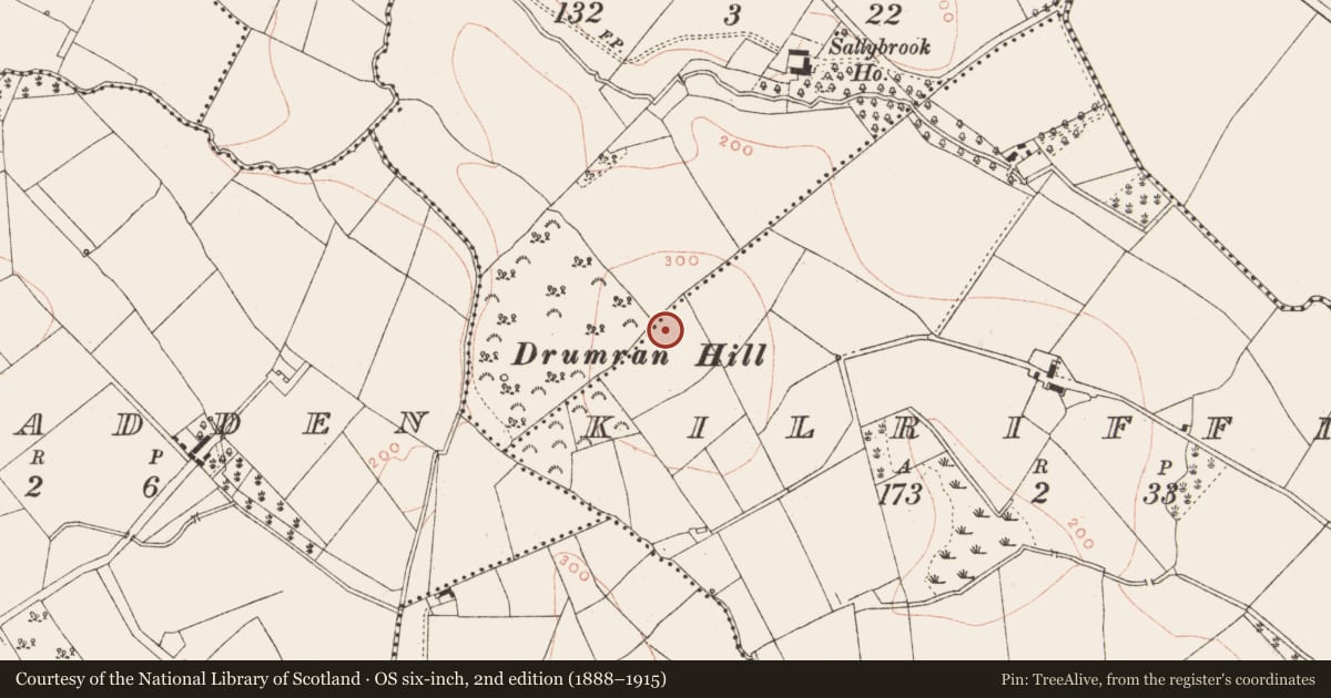 Ordnance Survey six-inch map, 2nd edition (1888–1915) covering the location of Ring-ditch, Kilriffin, County Meath, with a pin at the register's coordinates