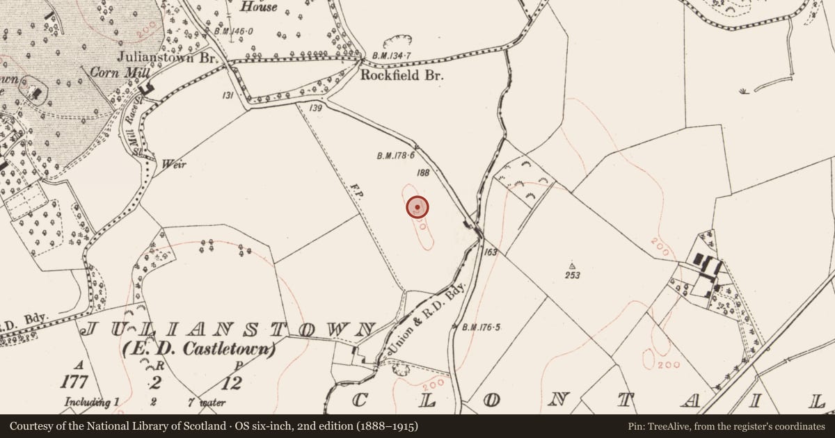 Ordnance Survey six-inch map, 2nd edition (1888–1915) covering the location of Enclosure, Julianstown (Morgallion Bar., Nobber Par.), County Meath, with a pin at the register's coordinates