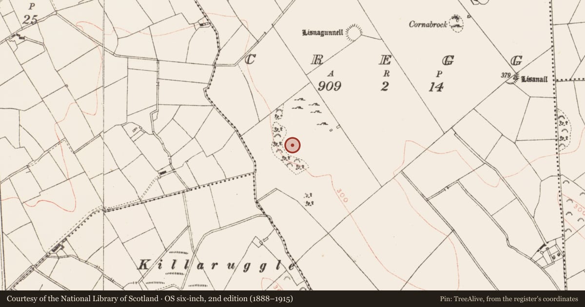 Ordnance Survey six-inch map, 2nd edition (1888–1915) covering the location of Flat cemetery, Cregg, County Meath, with a pin at the register's coordinates