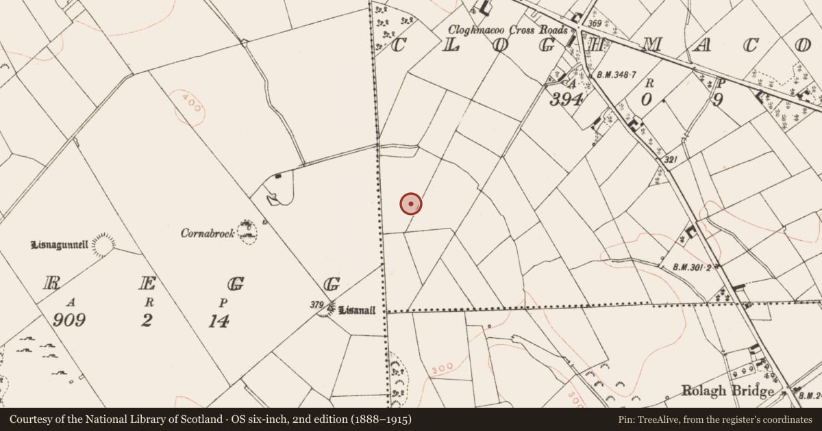 Ordnance Survey six-inch map, 2nd edition (1888–1915) covering the location of Enclosure, Cloghmacoo, County Meath, with a pin at the register's coordinates