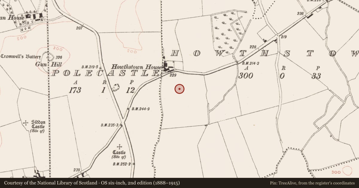Ordnance Survey six-inch map, 2nd edition (1888–1915) covering the location of Windmill, Howthstown, County Meath, with a pin at the register's coordinates