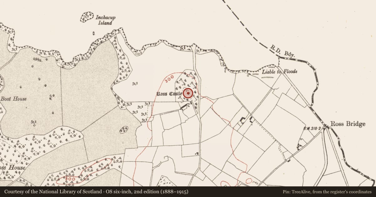 Ordnance Survey six-inch map, 2nd edition (1888–1915) covering the location of Castle - tower house, Ross, County Meath, with a pin at the register's coordinates