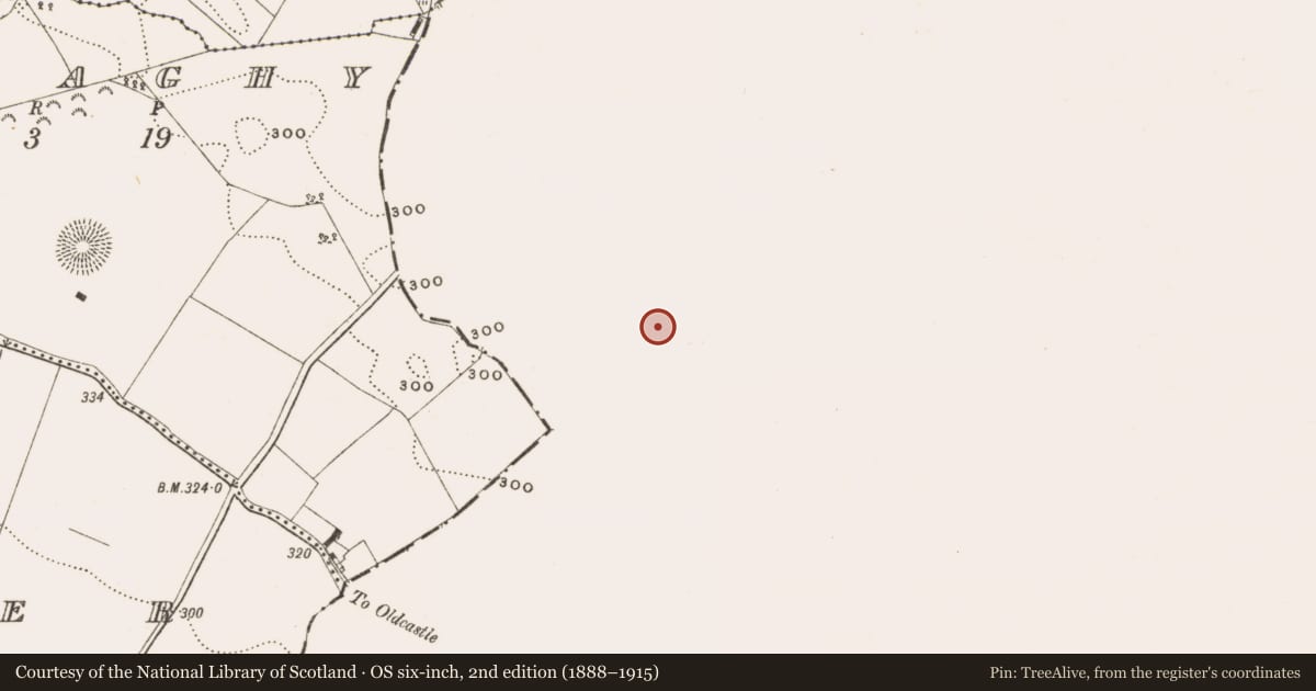 Ordnance Survey six-inch map, 2nd edition (1888–1915) covering the location of Ringfort - rath, Castlecor, County Meath, with a pin at the register's coordinates