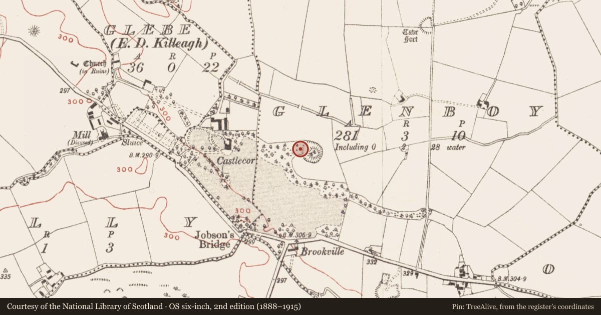 Ordnance Survey six-inch map, 2nd edition (1888–1915) covering the location of Castle - motte and bailey, Glenboy, County Meath, with a pin at the register's coordinates