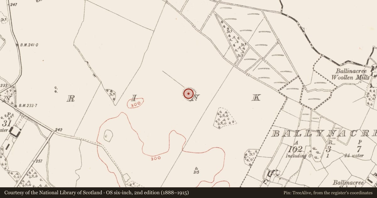 Ordnance Survey six-inch map, 2nd edition (1888–1915) covering the location of Ringfort - rath, Ballinrink, County Meath, with a pin at the register's coordinates