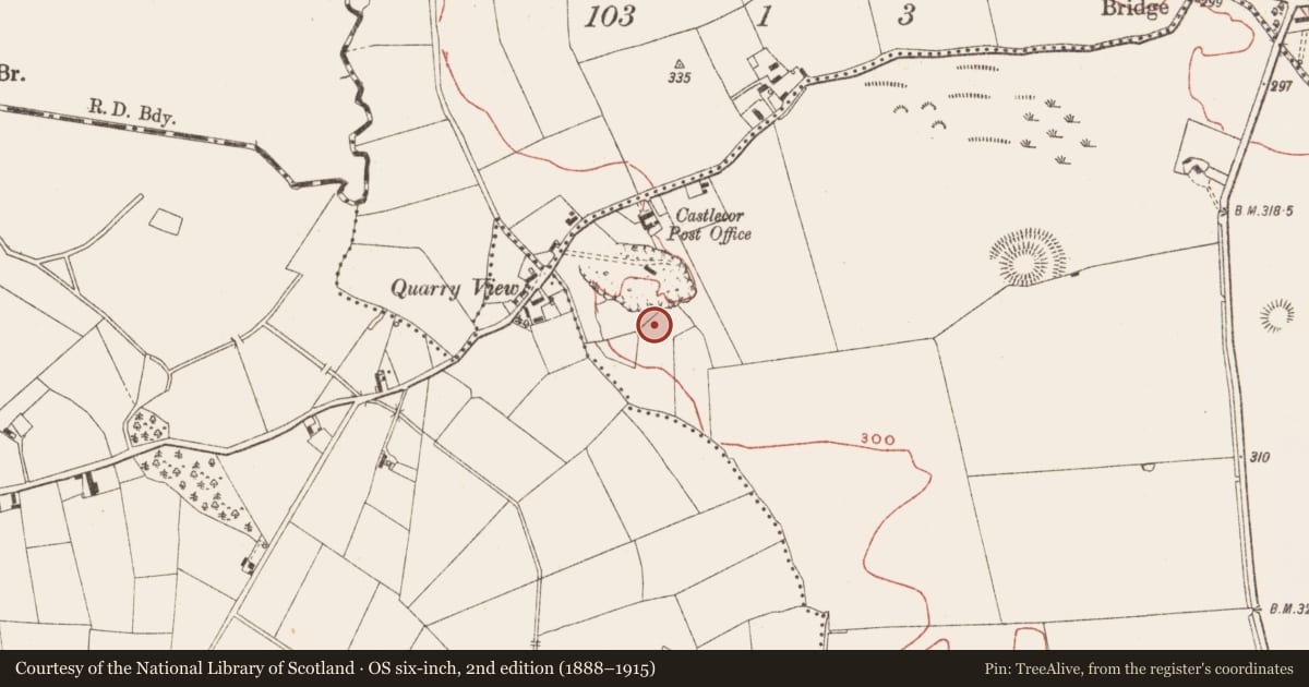 Ordnance Survey six-inch map, 2nd edition (1888–1915) covering the location of Souterrain, Crossdrum Lower, County Meath, with a pin at the register's coordinates