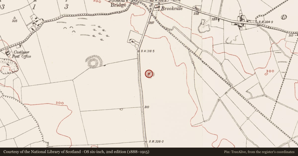 Ordnance Survey six-inch map, 2nd edition (1888–1915) covering the location of Ringfort - rath, Crossdrum Lower, County Meath, with a pin at the register's coordinates