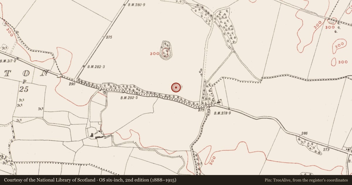 Ordnance Survey six-inch map, 2nd edition (1888–1915) covering the location of Ringfort - rath, Ballinrink, County Meath, with a pin at the register's coordinates