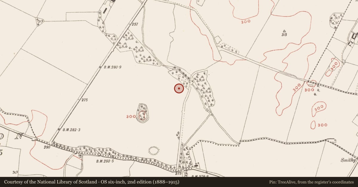 Ordnance Survey six-inch map, 2nd edition (1888–1915) covering the location of Enclosure - large enclosure, Ballinrink, County Meath, with a pin at the register's coordinates