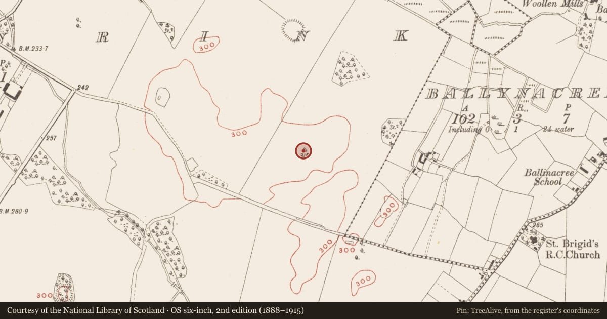 Ordnance Survey six-inch map, 2nd edition (1888–1915) covering the location of Barrow - mound barrow, Ballinrink, County Meath, with a pin at the register's coordinates