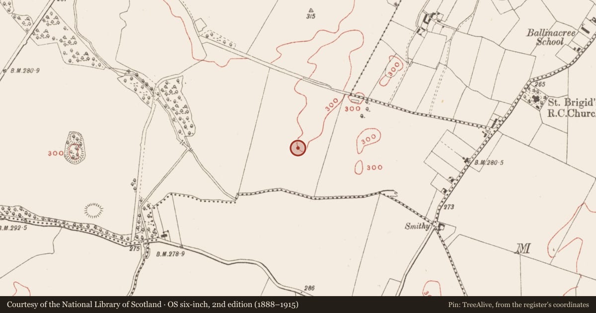 Ordnance Survey six-inch map, 2nd edition (1888–1915) covering the location of Ringfort - rath, Ballinrink, County Meath, with a pin at the register's coordinates