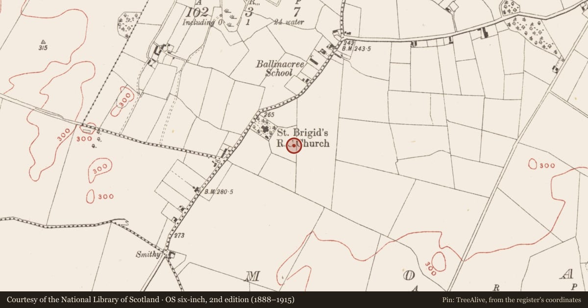 Ordnance Survey six-inch map, 2nd edition (1888–1915) covering the location of Cross, Moat, County Meath, with a pin at the register's coordinates