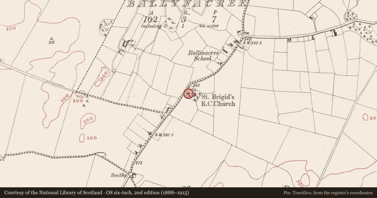Ordnance Survey six-inch map, 2nd edition (1888–1915) covering the location of Font, Moat, County Meath, with a pin at the register's coordinates