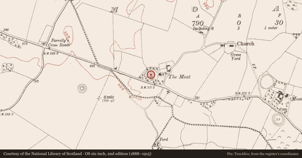 Ordnance Survey six-inch map, 2nd edition (1888–1915) covering the location of Castle - motte and bailey, Moat, County Meath, with a pin at the register's coordinates