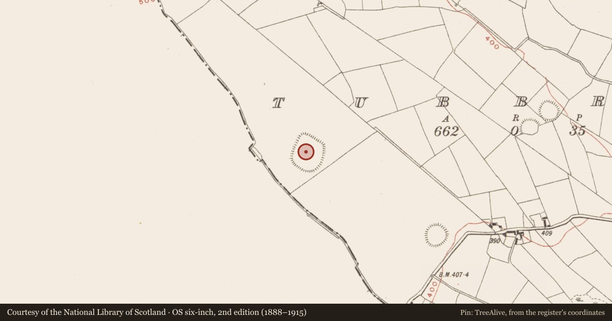 Ordnance Survey six-inch map, 2nd edition (1888–1915) covering the location of Enclosure - large enclosure, Tubbrid, County Meath, with a pin at the register's coordinates