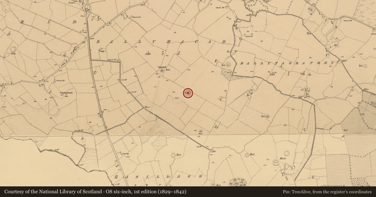 Ordnance Survey six-inch map, 1st edition (1829–1842) covering the location of Ringfort - rath, Ballymacad, County Meath, with a pin at the register's coordinates