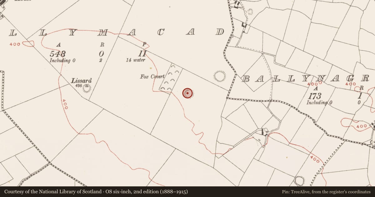 Ordnance Survey six-inch map, 2nd edition (1888–1915) covering the location of Ringfort - rath, Ballymacad, County Meath, with a pin at the register's coordinates