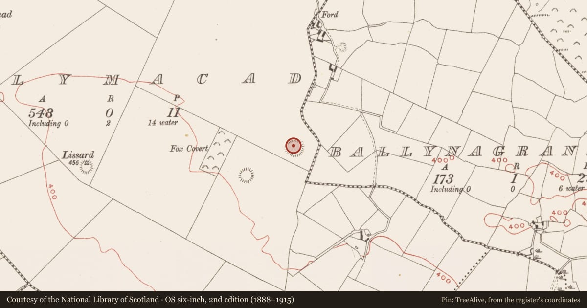 Ordnance Survey six-inch map, 2nd edition (1888–1915) covering the location of Ringfort - rath, Ballymacad, County Meath, with a pin at the register's coordinates