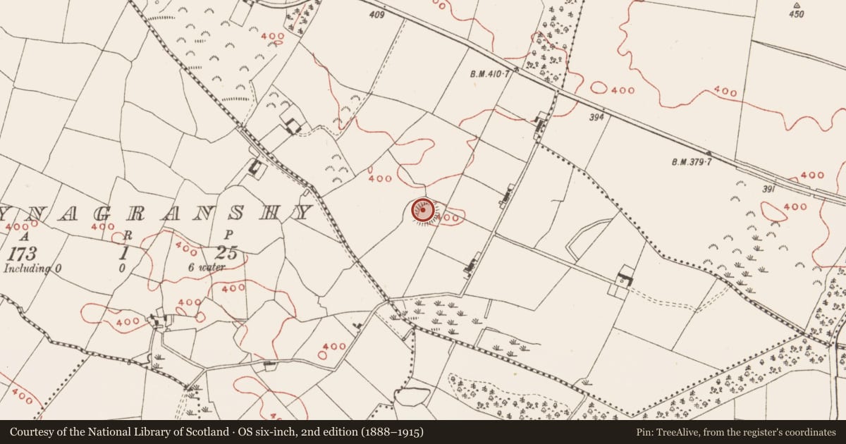 Ordnance Survey six-inch map, 2nd edition (1888–1915) covering the location of Ringfort - rath, Moat, County Meath, with a pin at the register's coordinates