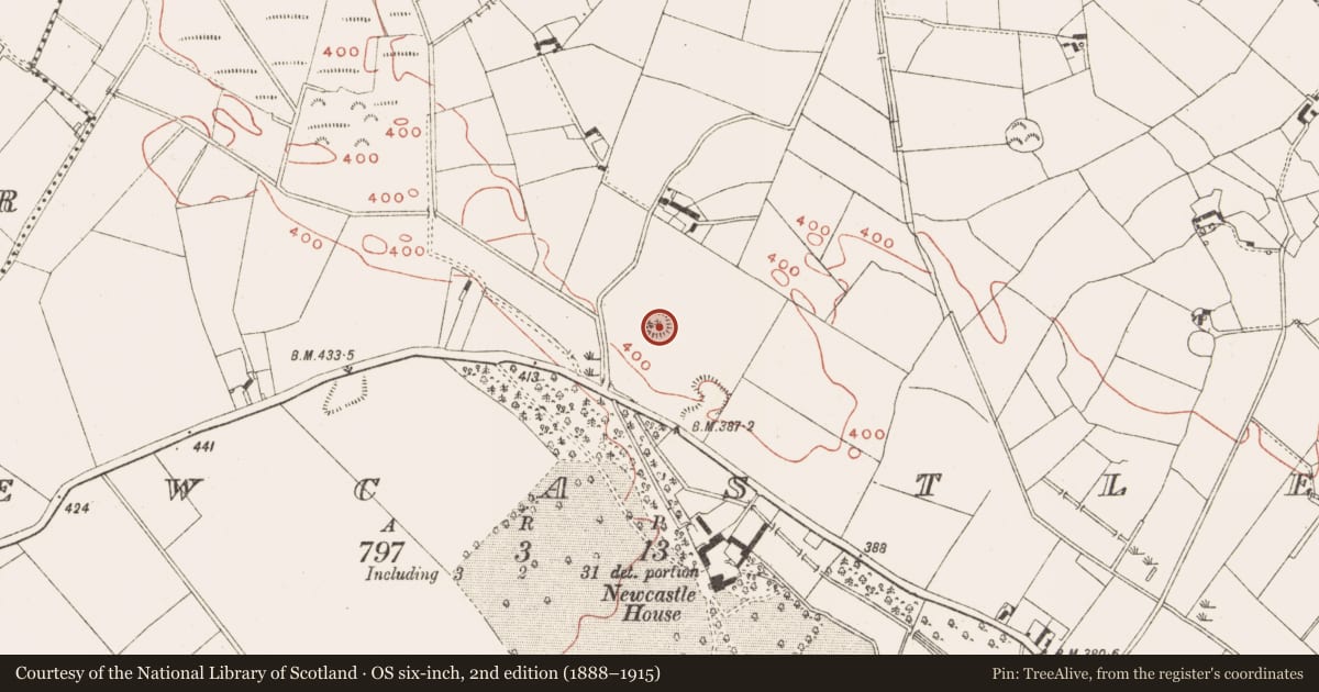 Ordnance Survey six-inch map, 2nd edition (1888–1915) covering the location of Ringfort - rath, Newcastle, County Meath, with a pin at the register's coordinates