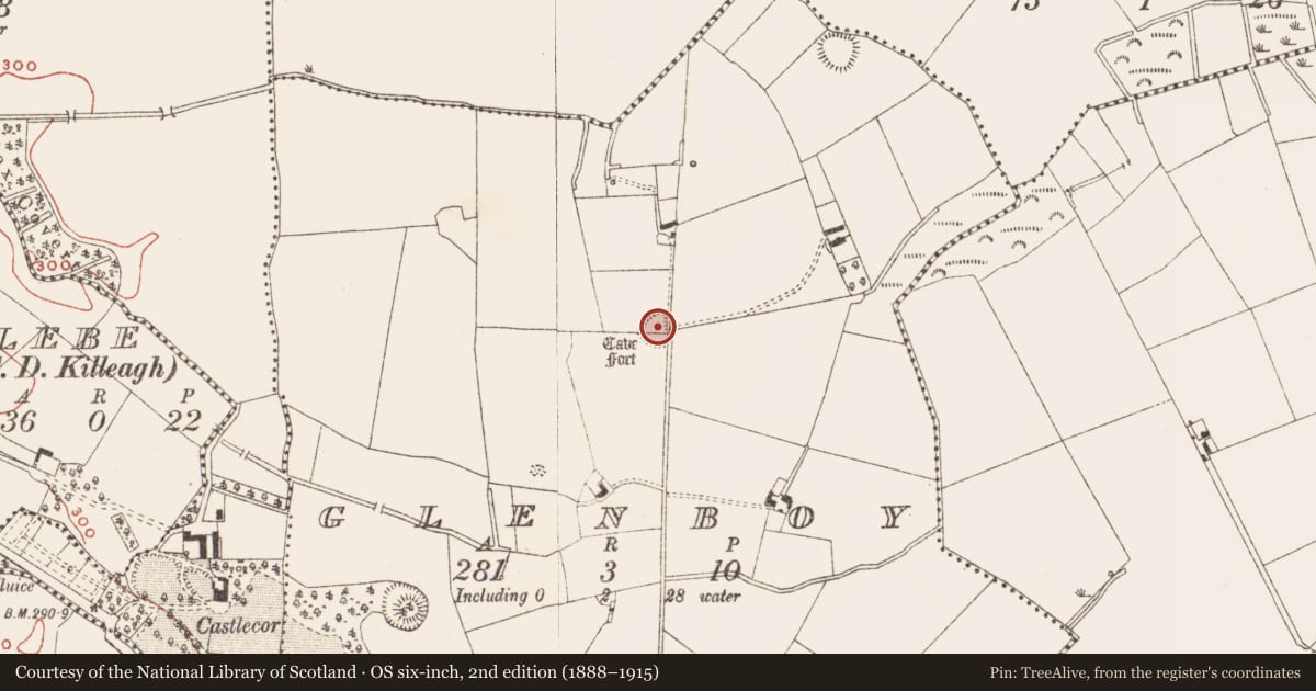 Ordnance Survey six-inch map, 2nd edition (1888–1915) covering the location of Ringfort - rath, Glenboy, County Meath, with a pin at the register's coordinates
