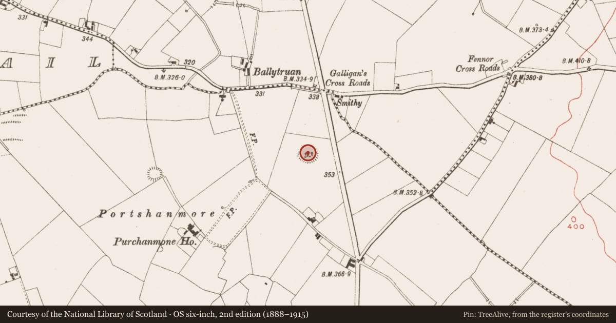Ordnance Survey six-inch map, 2nd edition (1888–1915) covering the location of Ringfort - rath, Oldcastle, County Meath, with a pin at the register's coordinates