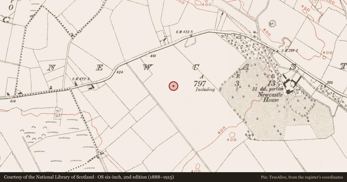 Ordnance Survey six-inch map, 2nd edition (1888–1915) covering the location of Cist, Newcastle, County Meath, with a pin at the register's coordinates