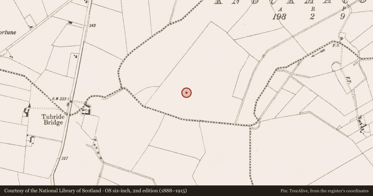 Ordnance Survey six-inch map, 2nd edition (1888–1915) covering the location of Field system, Knockmacoony, County Meath, with a pin at the register's coordinates