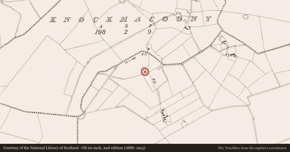 Ordnance Survey six-inch map, 2nd edition (1888–1915) covering the location of Ringfort - rath, Drumsawry Or Summerbank, County Meath, with a pin at the register's coordinates