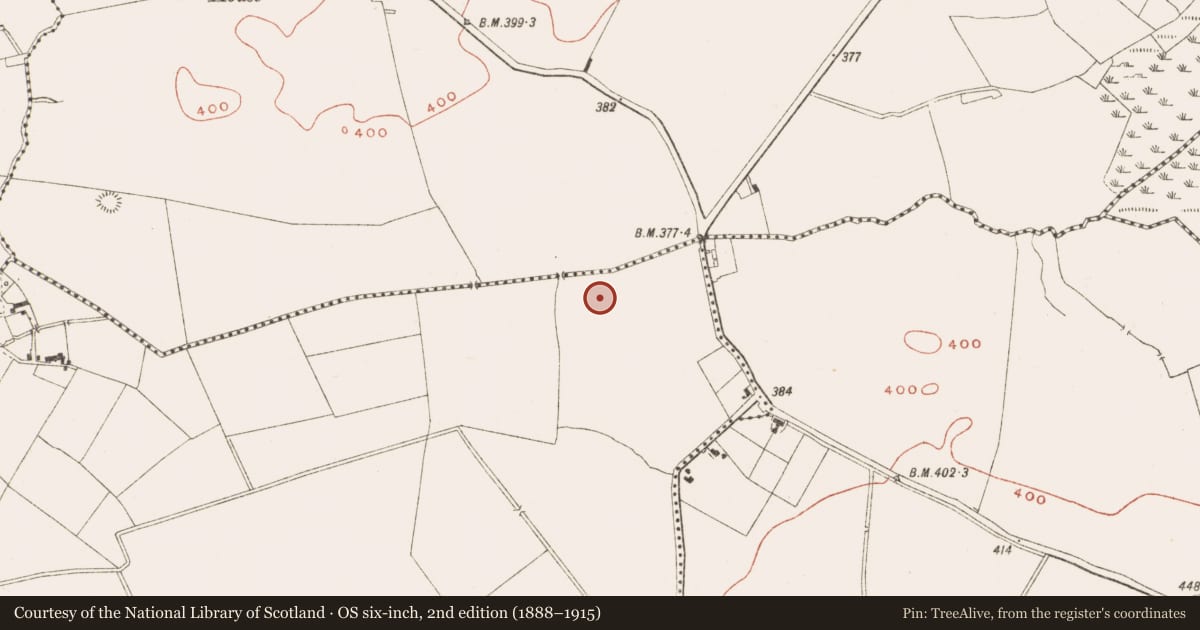 Ordnance Survey six-inch map, 2nd edition (1888–1915) covering the location of Fulacht fia, Drumsawry Or Summerbank, County Meath, with a pin at the register's coordinates