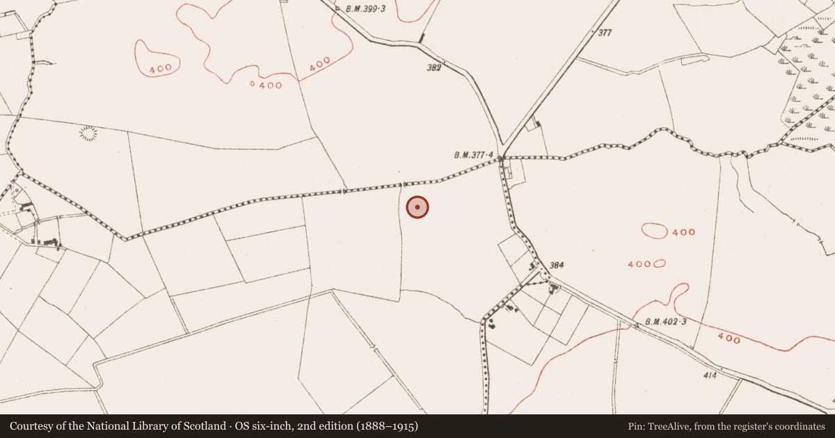 Ordnance Survey six-inch map, 2nd edition (1888–1915) covering the location of Fulacht fia, Drumsawry Or Summerbank, County Meath, with a pin at the register's coordinates